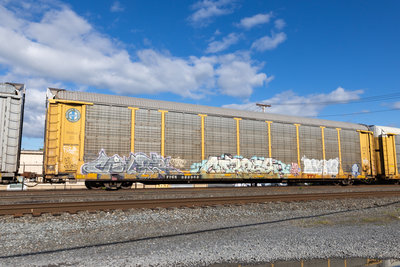 TTGX 988968