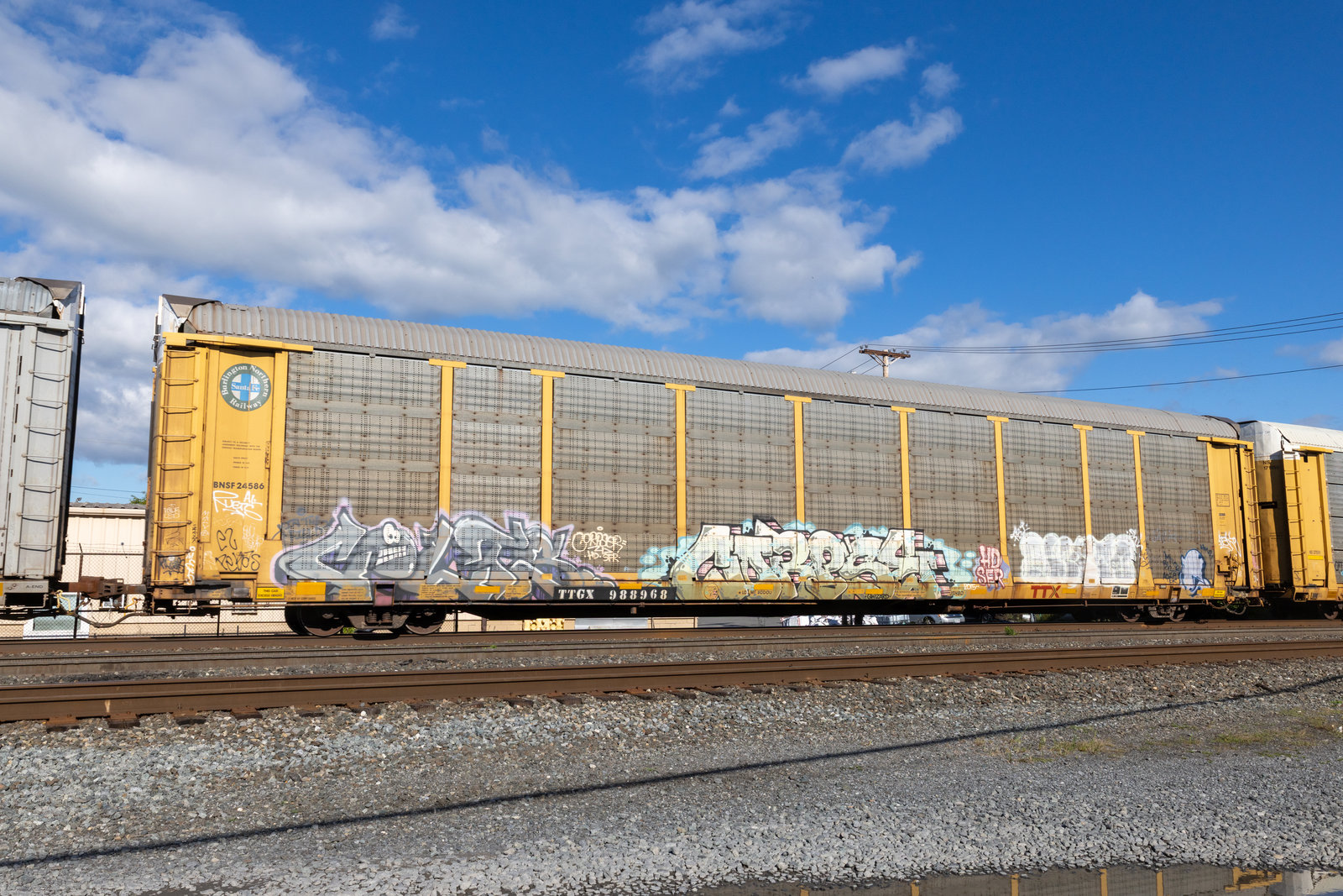 TTGX 988968