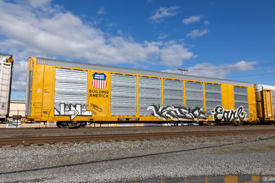 TTGX 698971