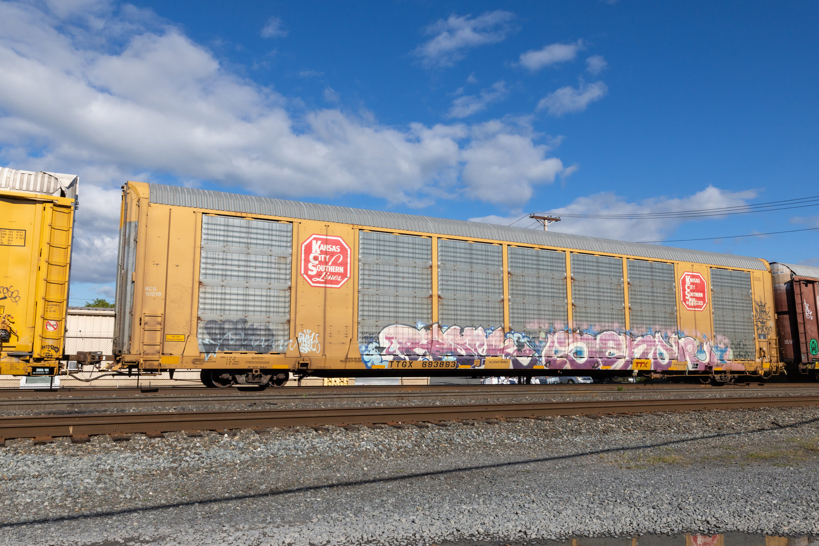 TTGX 693893