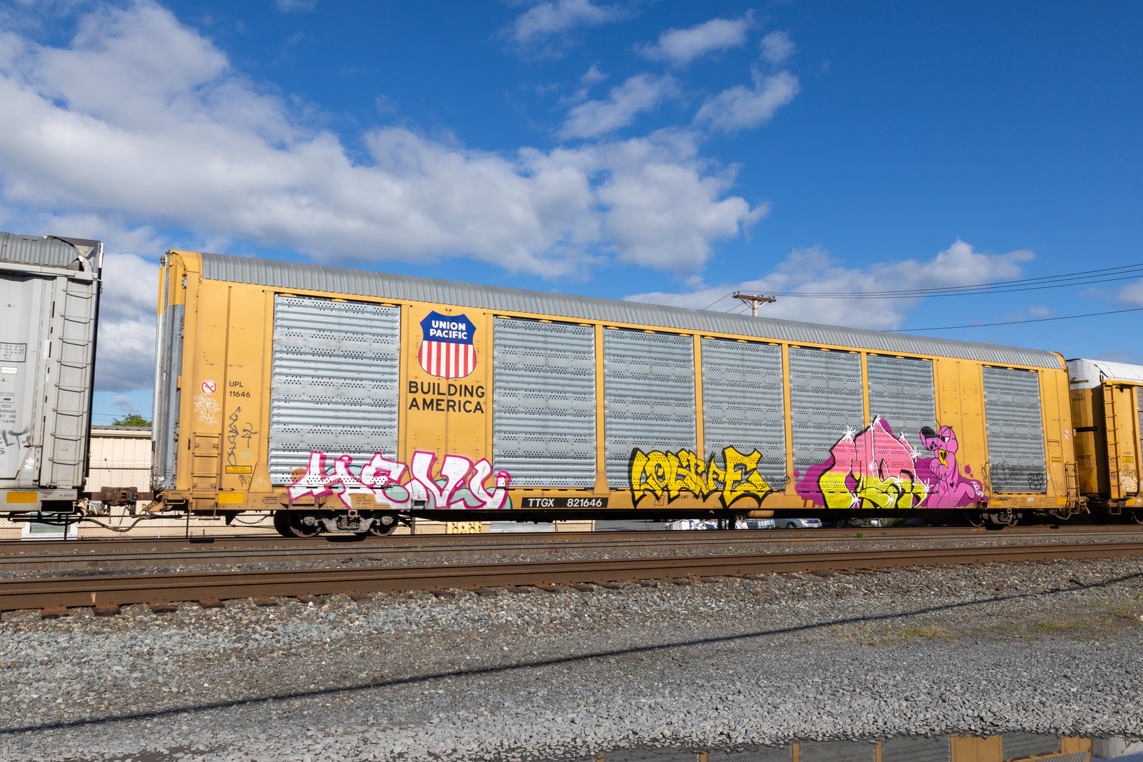 TTGX 821646