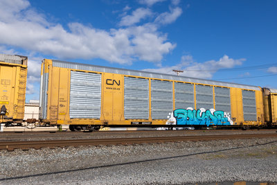 TTGX 824651