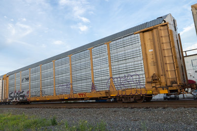 TTGX 711275