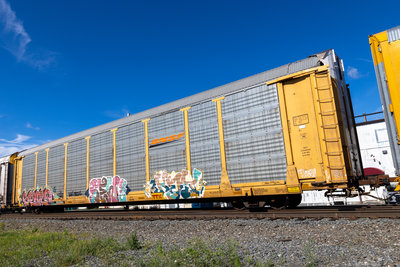 TTGX 952684