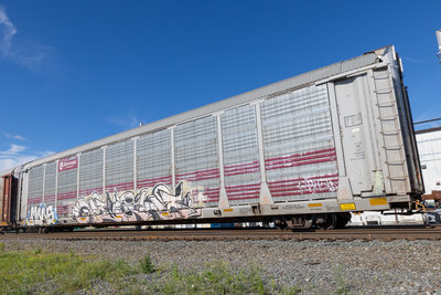 TTGX 705221