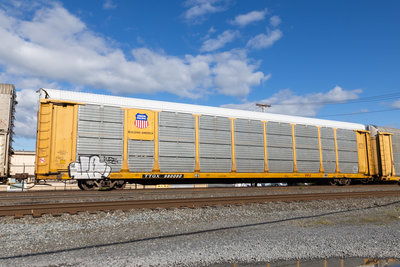 TTGX 980080