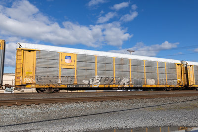 TTGX 981887