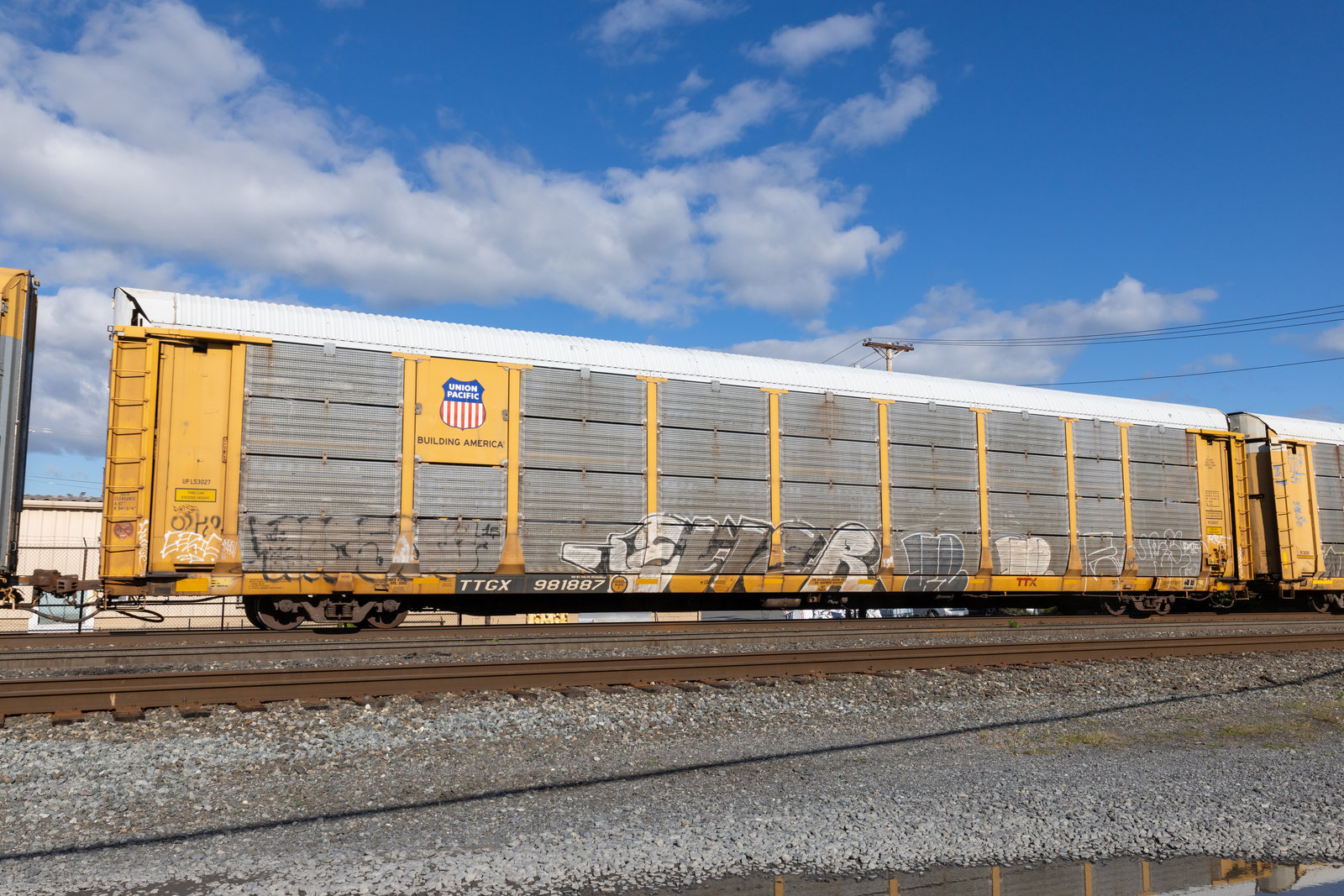 TTGX 981887