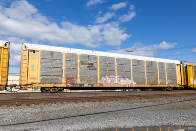 TTGX 159685