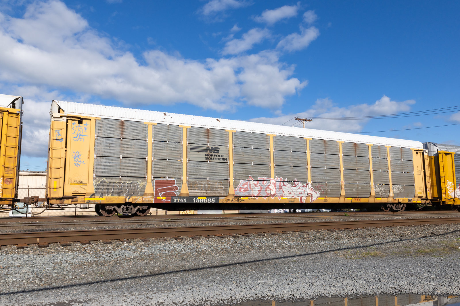 TTGX 159685