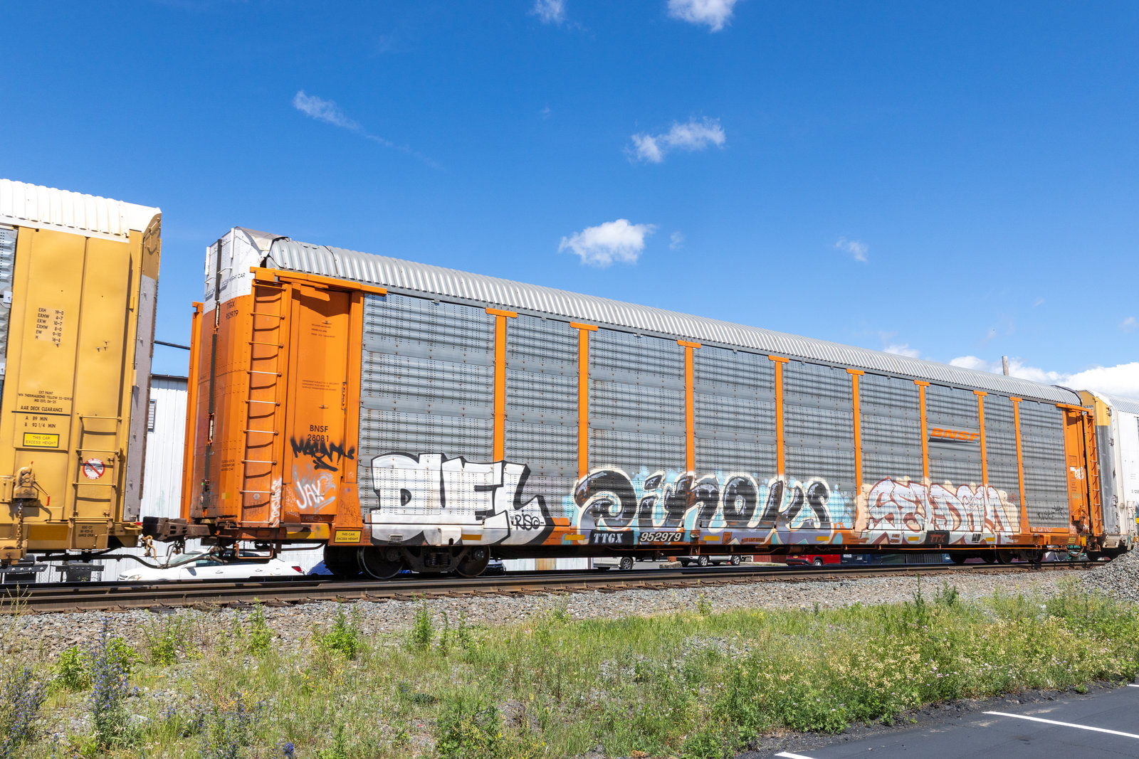 TTGX 952979