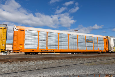 TTGX 989142
