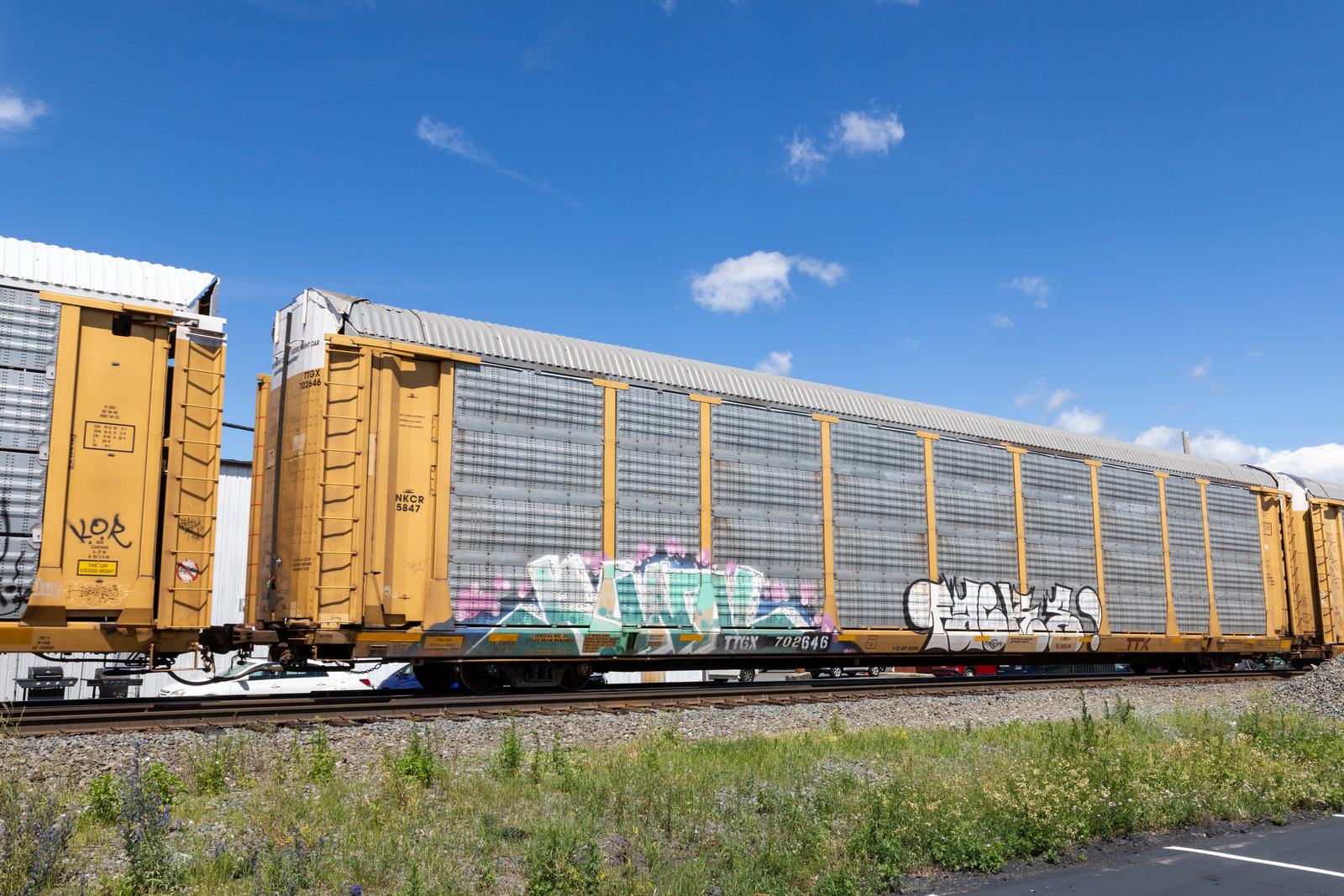 TTGX 702646