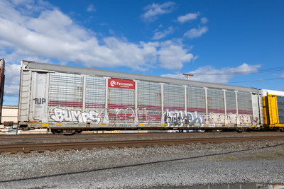 TTGX 705531
