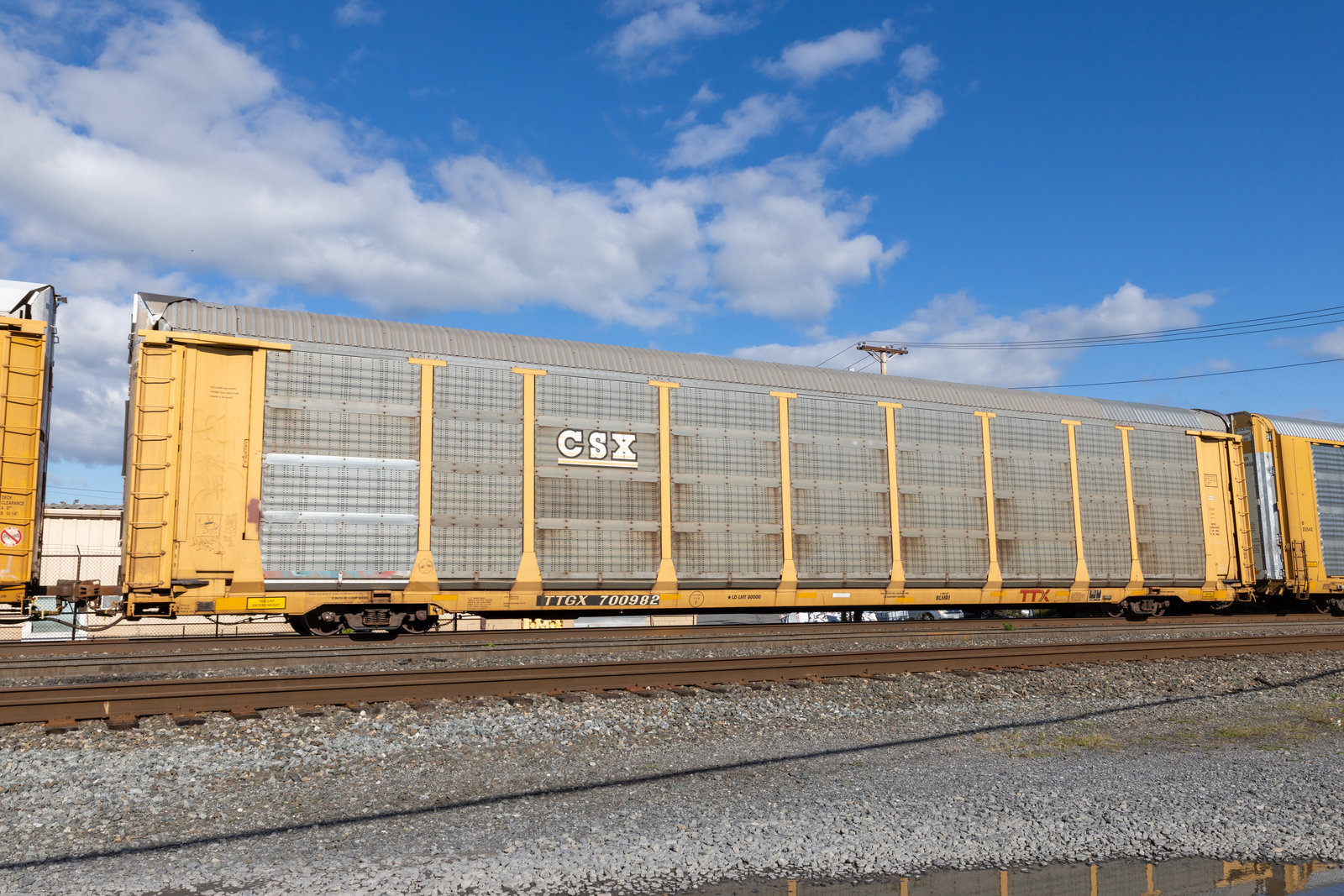 TTGX 700982