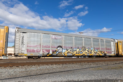 TTGX 705449