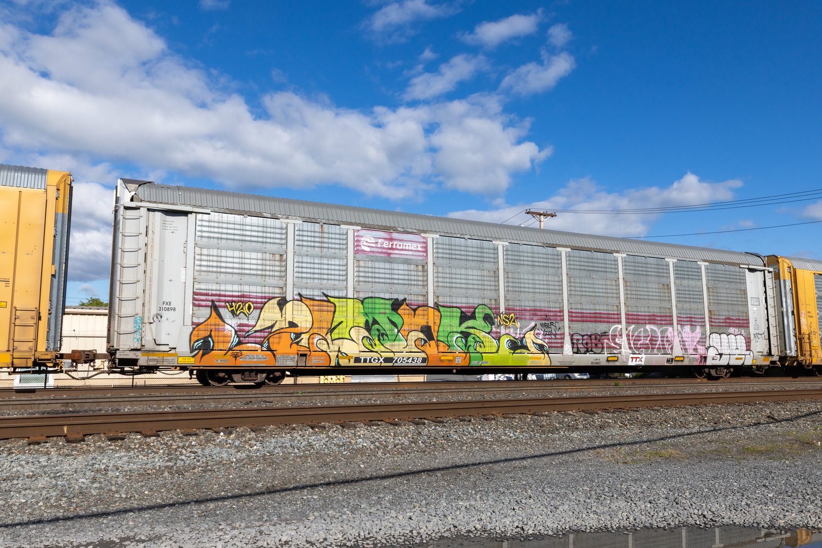 TTGX 705438