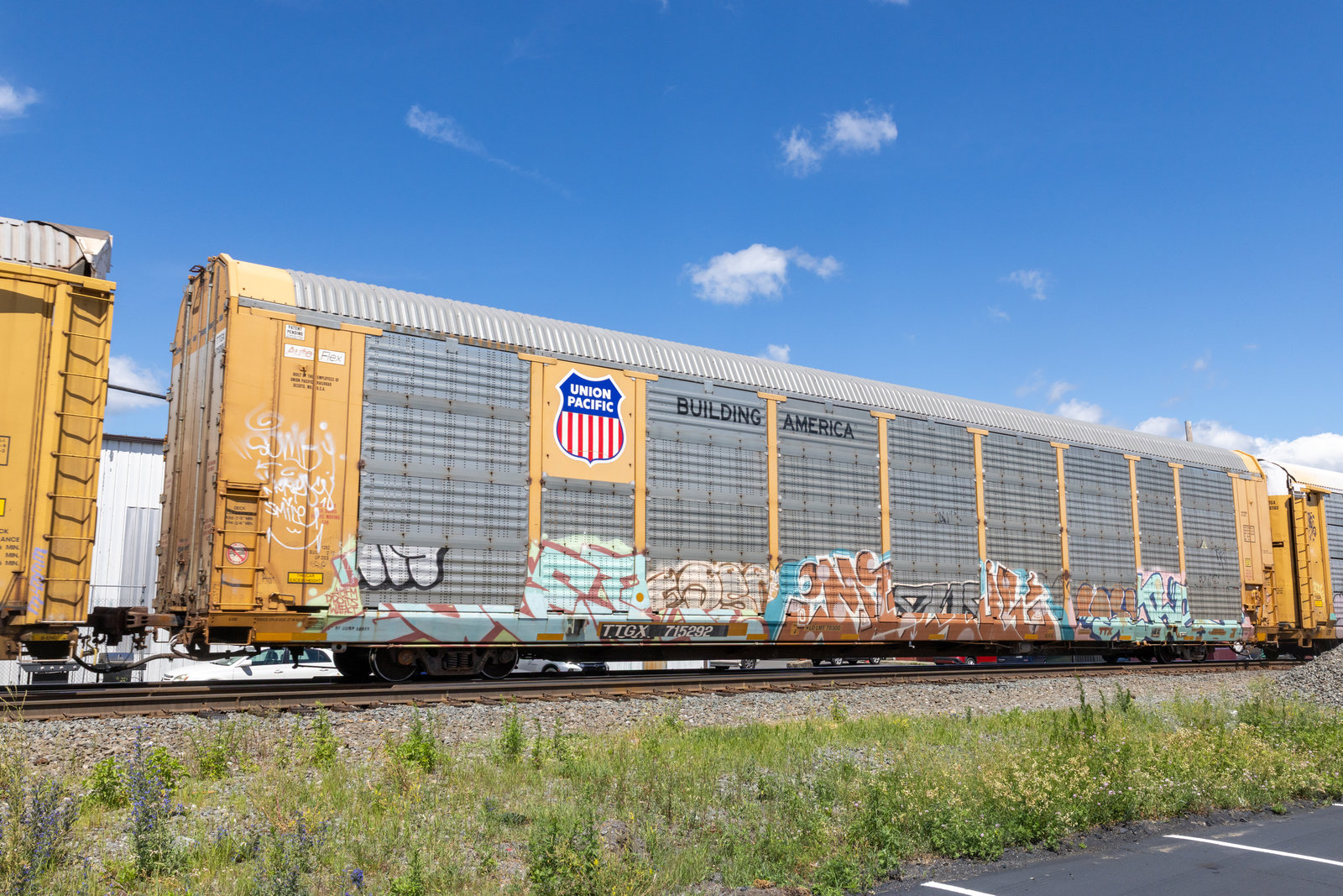 TTGX 715292