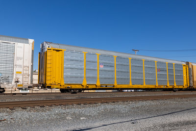 TTGX 835497