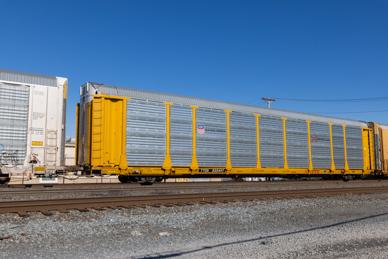 TTGX 835497