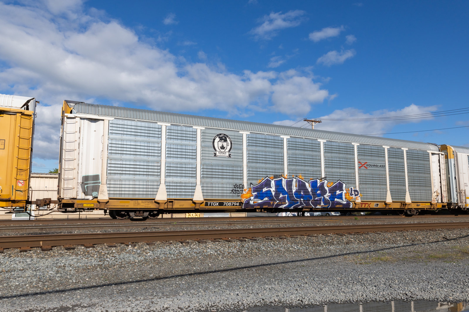 TTGX 708794