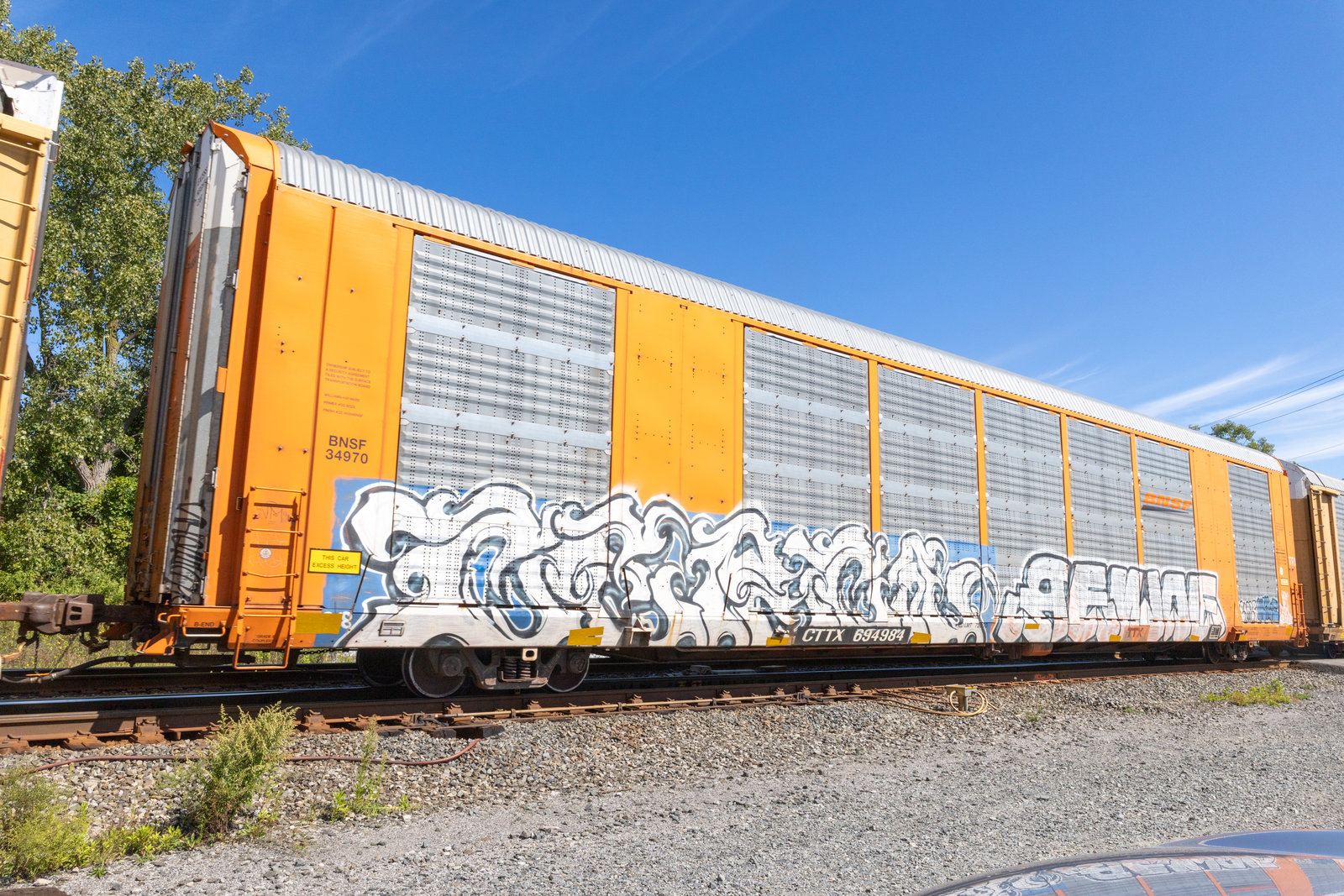 CTTX 694984