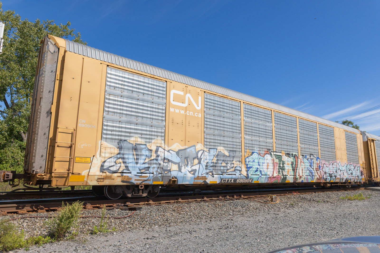 CTTX 690904