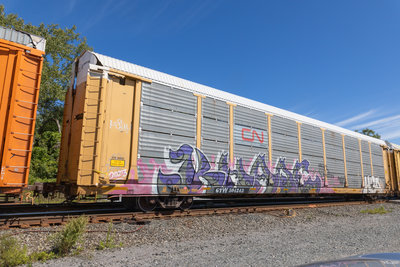 GTW 504243