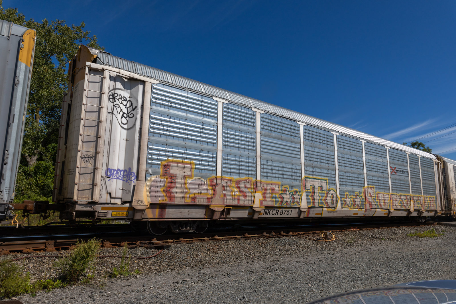 NKCR 8751
