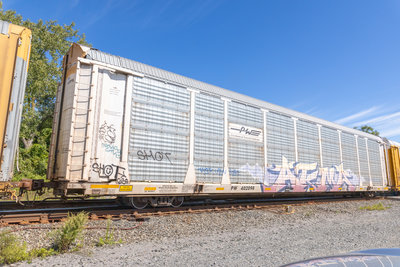 PW 402098