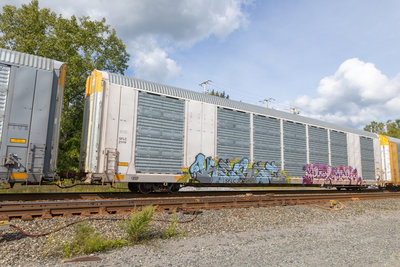 SFLC 307919