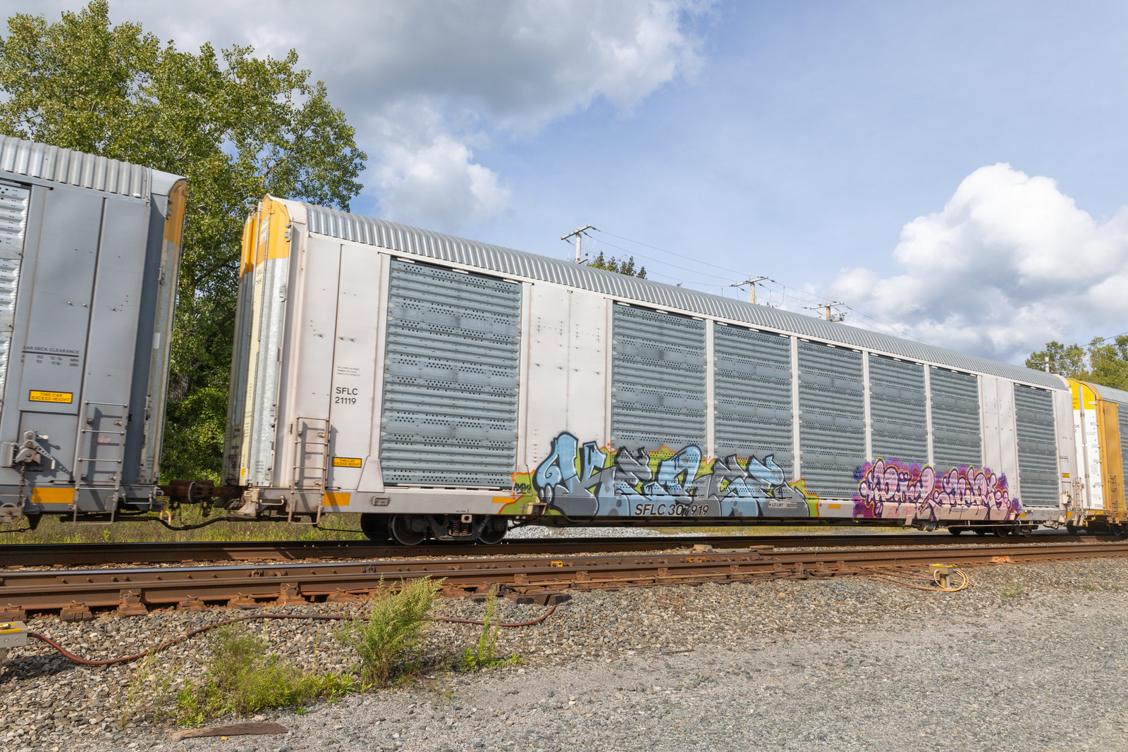 SFLC 307919