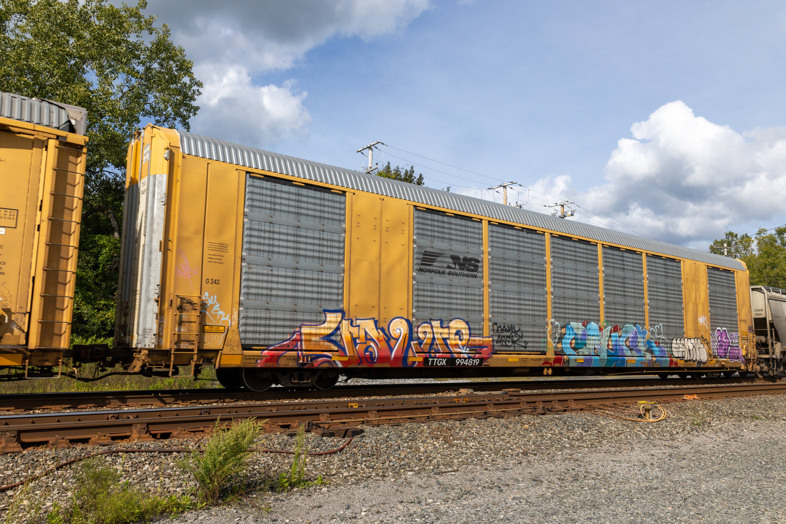 TTGX 994819