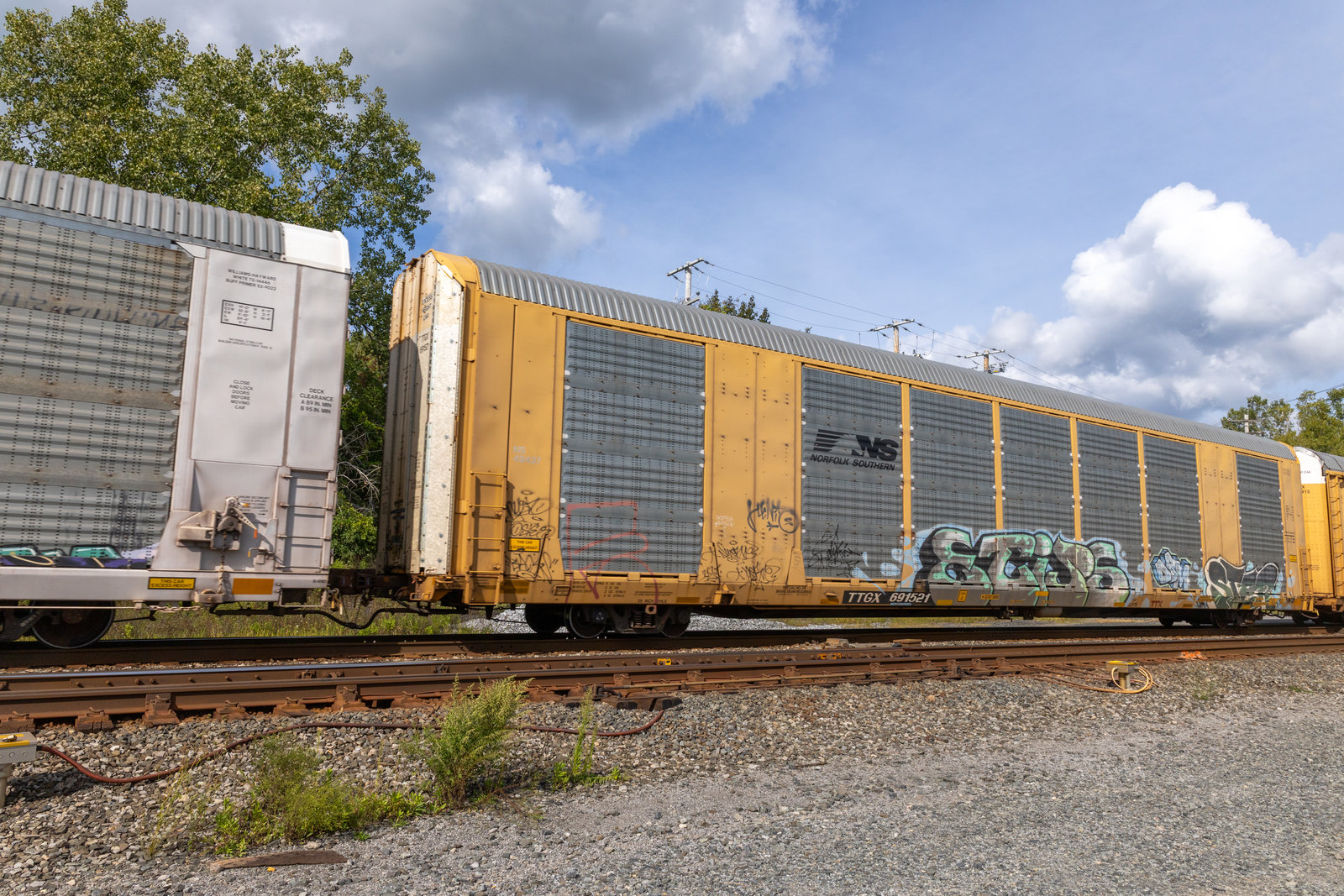 TTGX 691521