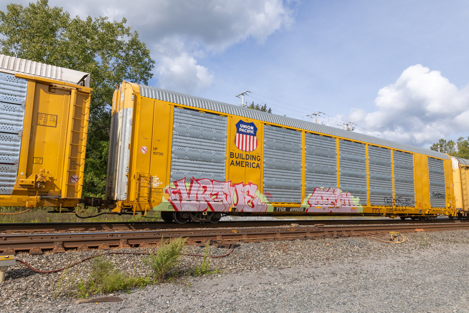 TTGX 699505