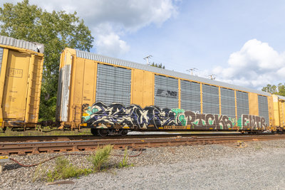 TTGX 698134