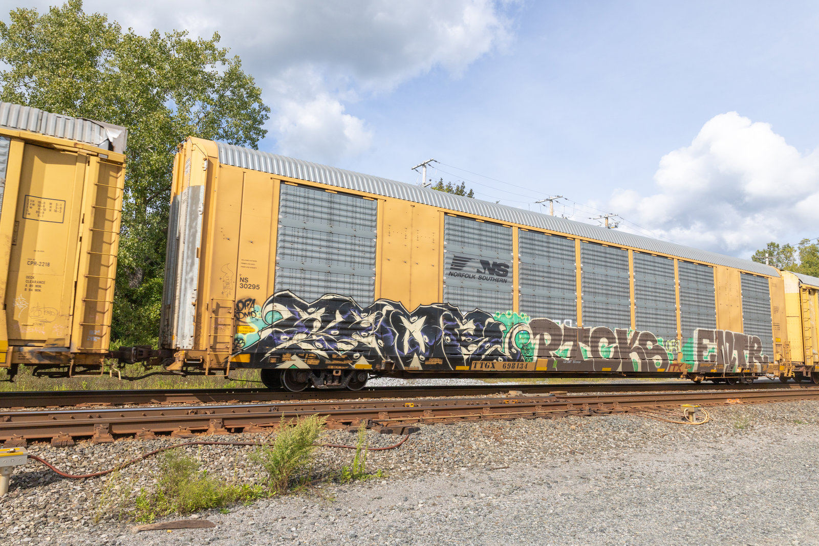 TTGX 698134