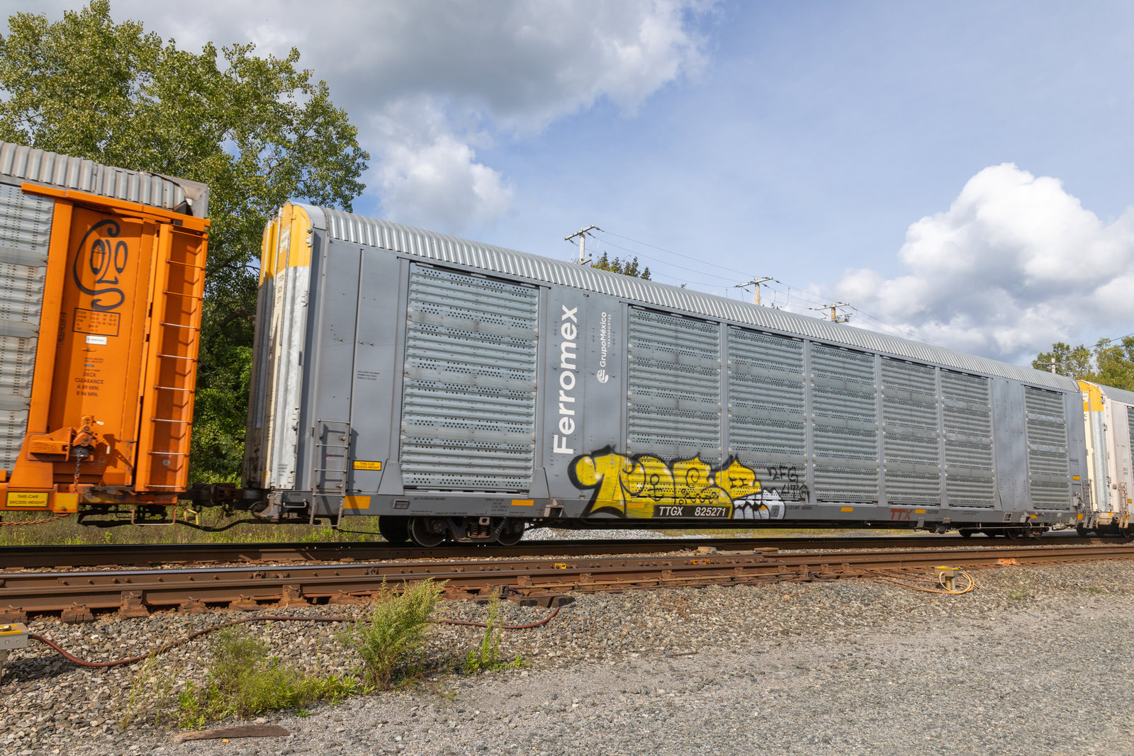 TTGX 825271