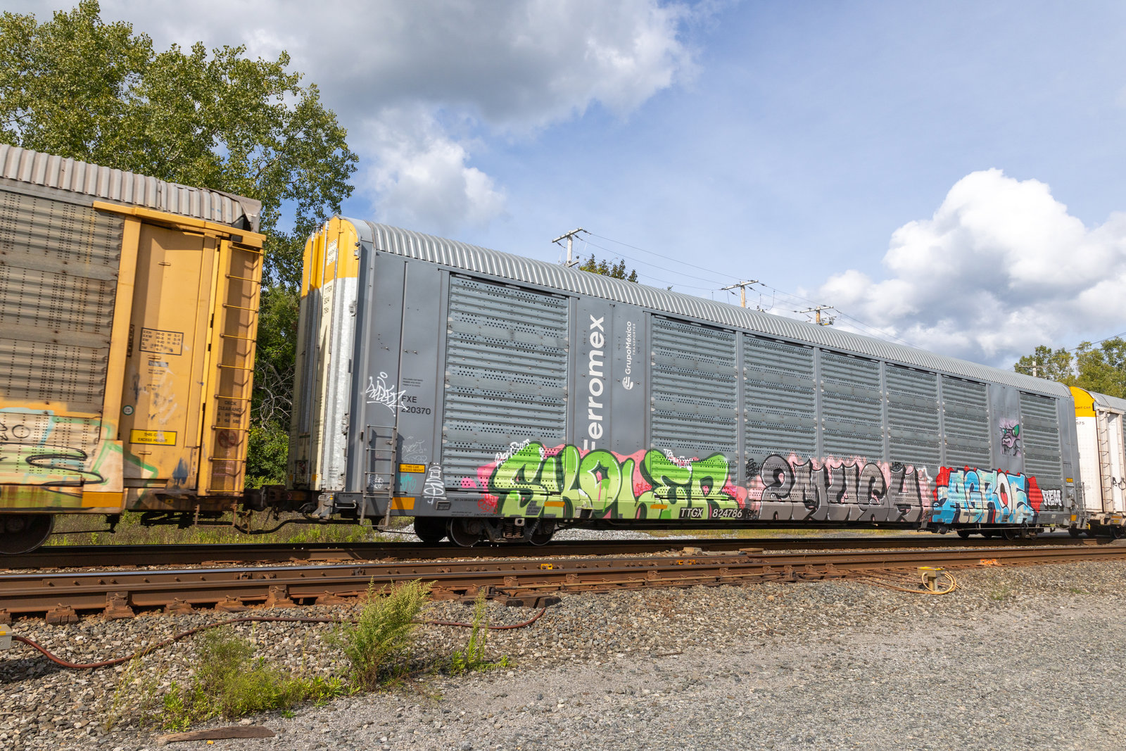 TTGX 824786