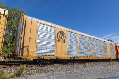 TTGX 823011