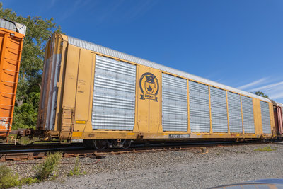 TTGX 822980