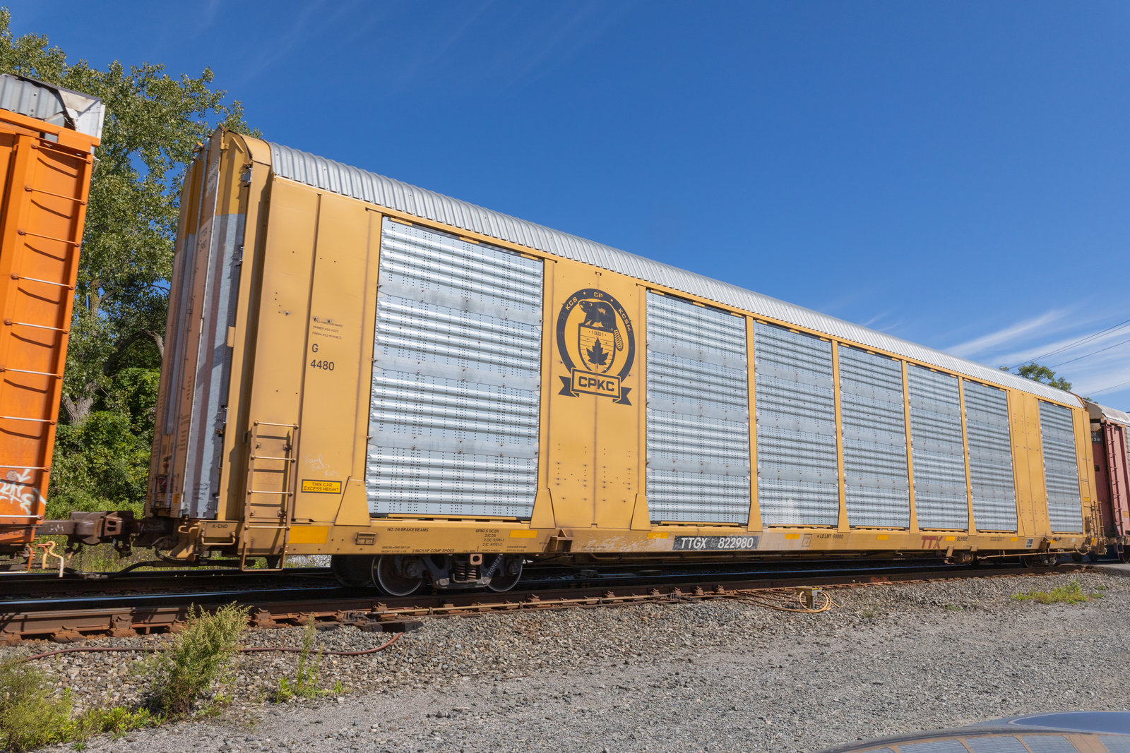 TTGX 822980