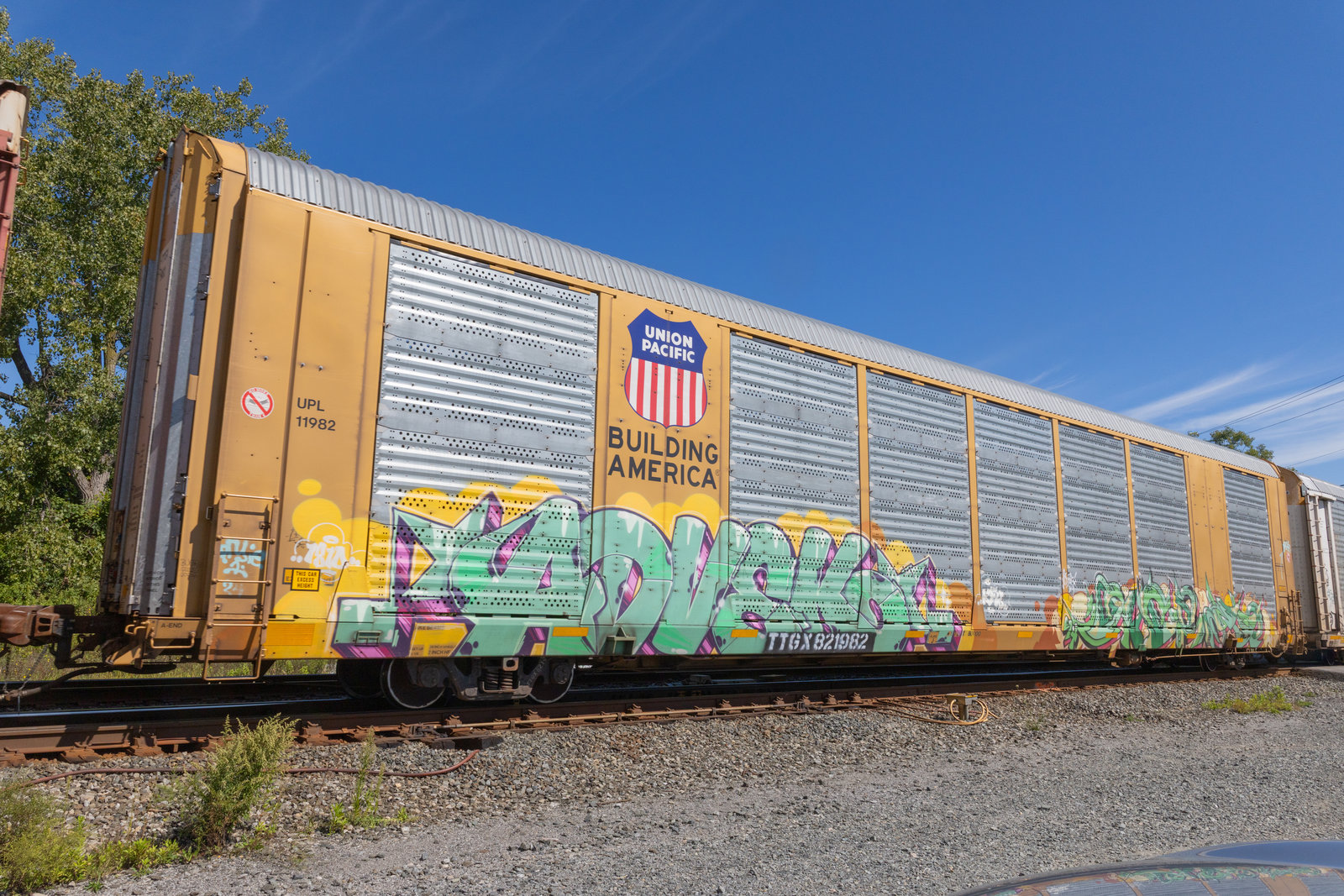 TTGX 821982