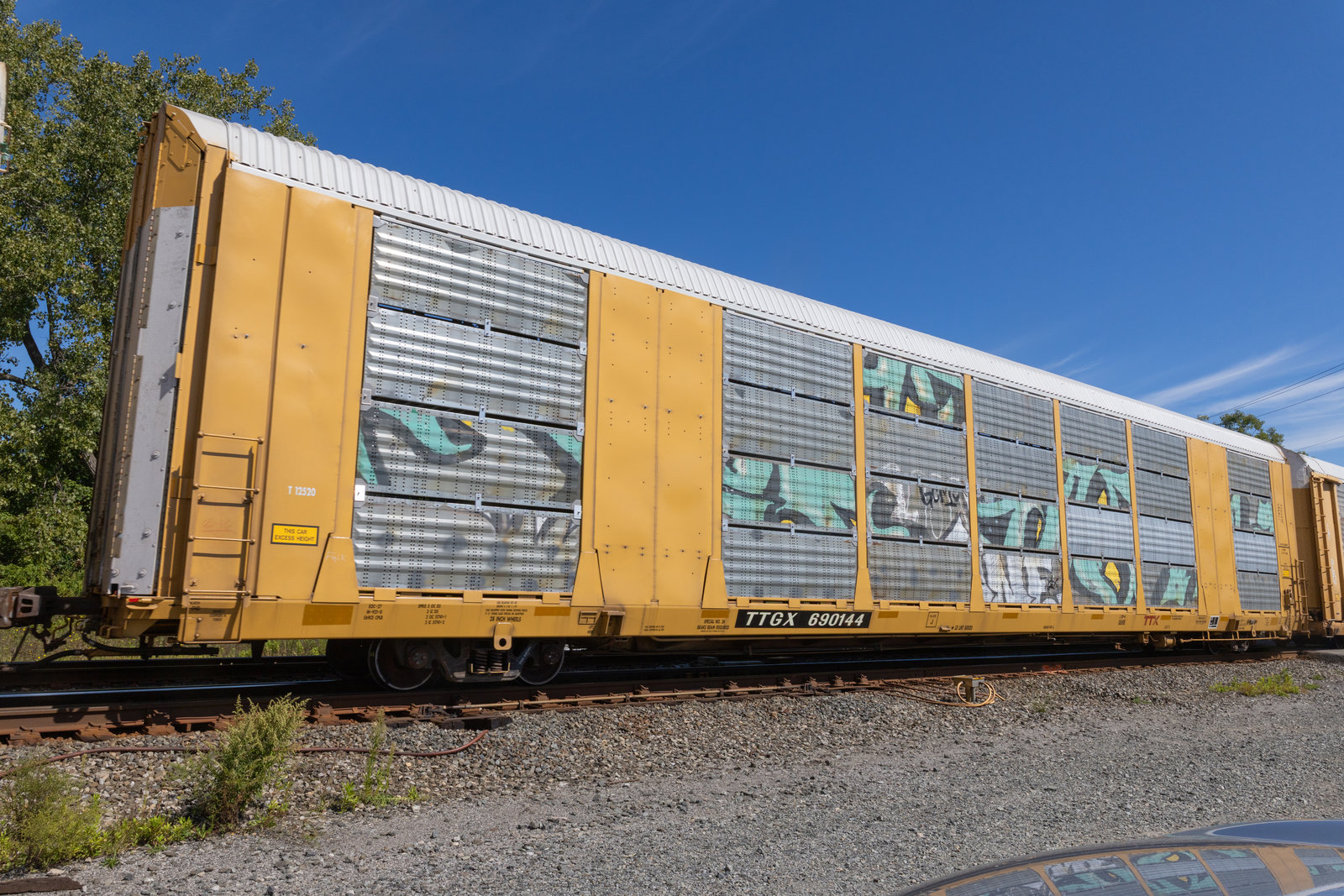 TTGX 690144