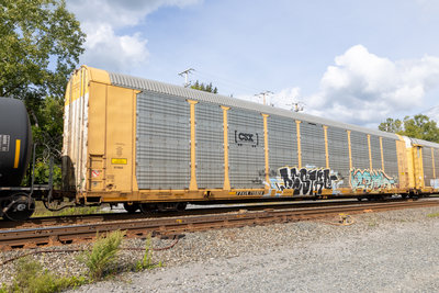 TTGX 715928