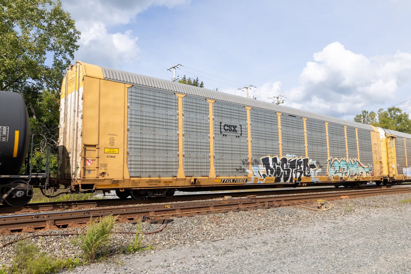 TTGX 715928