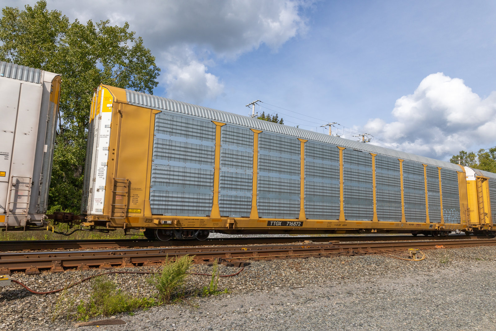 TTGX 716872