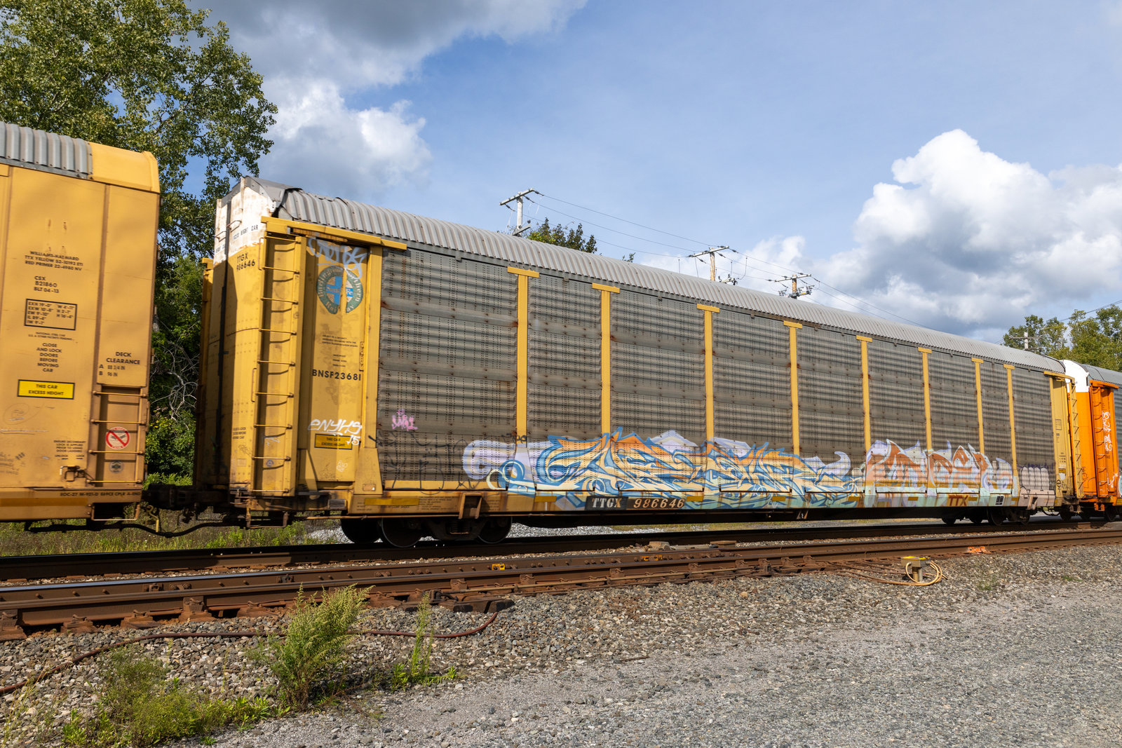 TTGX 986646