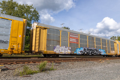 TTGX 997016