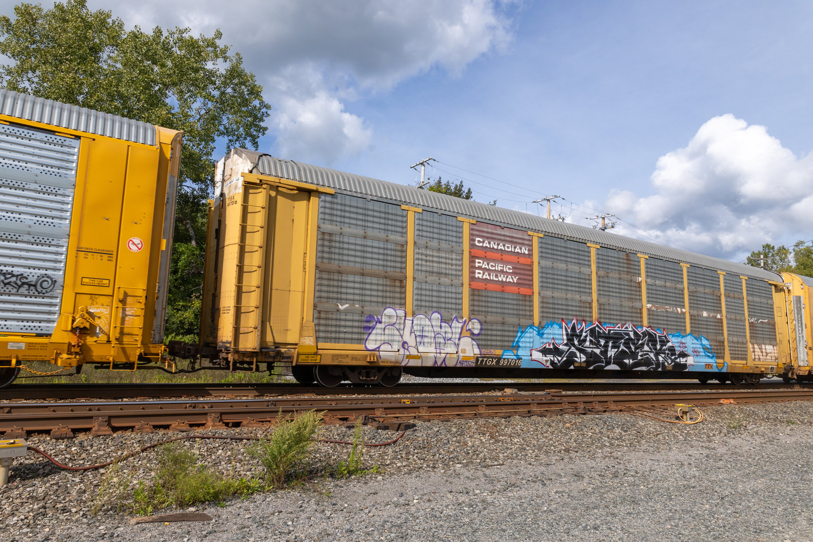 TTGX 997016